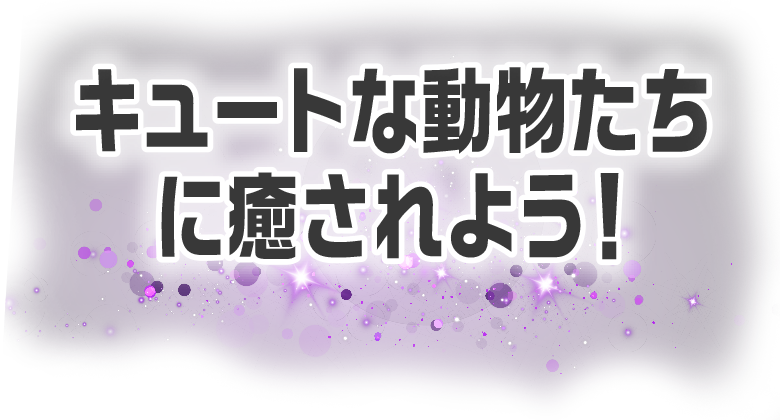 キュートな動物たちに癒されよう！