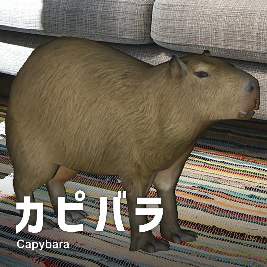 カピパラ Capybara